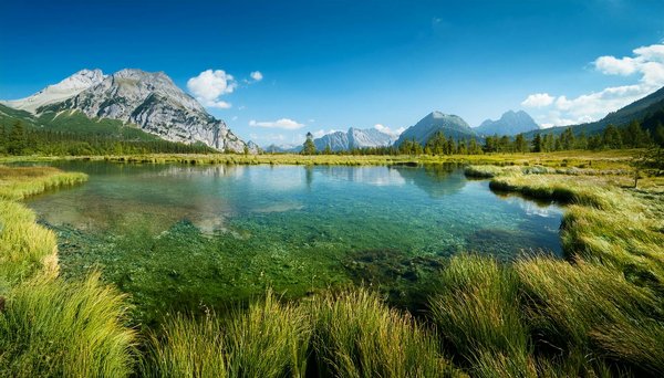 Explorez les ateliers incontournables de fabrication de savon naturel en italie !