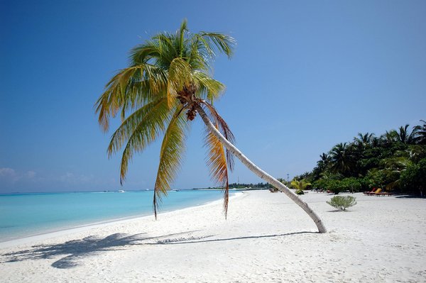 Commerce et location de bateaux : tendances et perspectives d'avenir